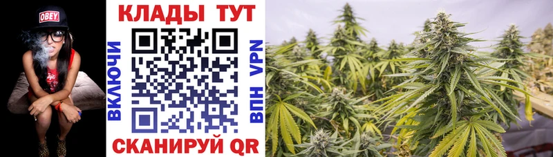Купить наркоту Отрадный Конопля  A PVP  МЕТАДОН  Меф  ГАШИШ 