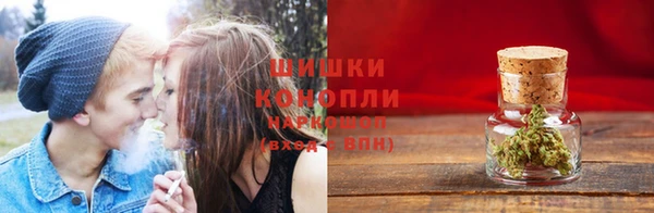 тгк Верея